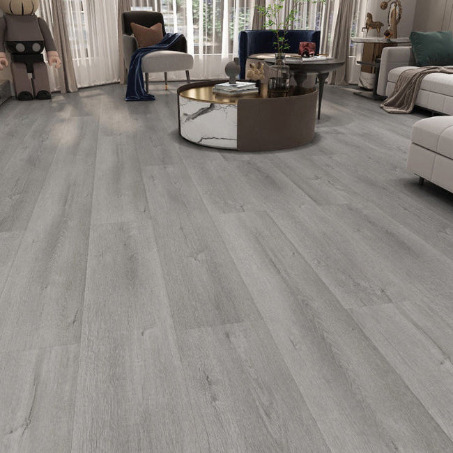 AFD Paramount Collection Jasper