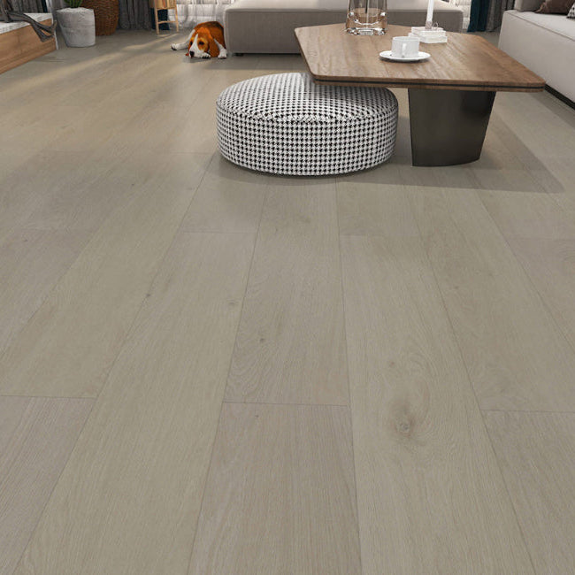 AFD Lakeview Collection Erie