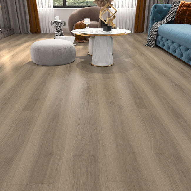 AFD Beach Collection Clearwater