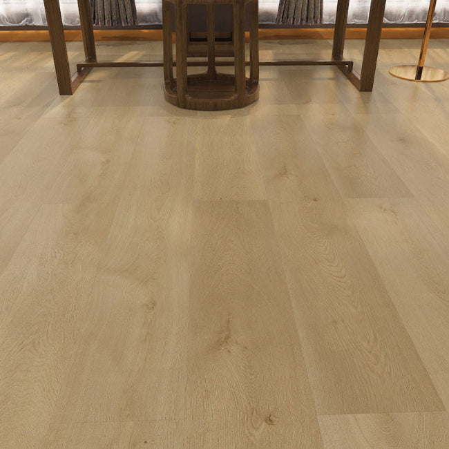 AFD Beach Collection Santa Monica