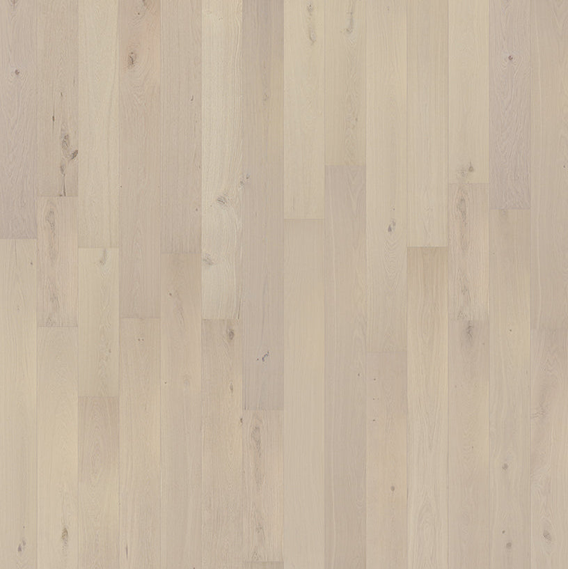 Ravenna Hardwood By AFD Marseille