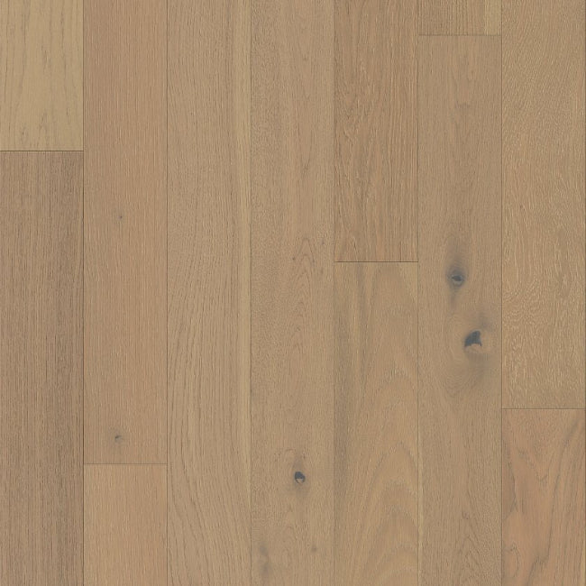 Shaw Floors The Gallery Collection Empire Oak Plank Vanderbilt