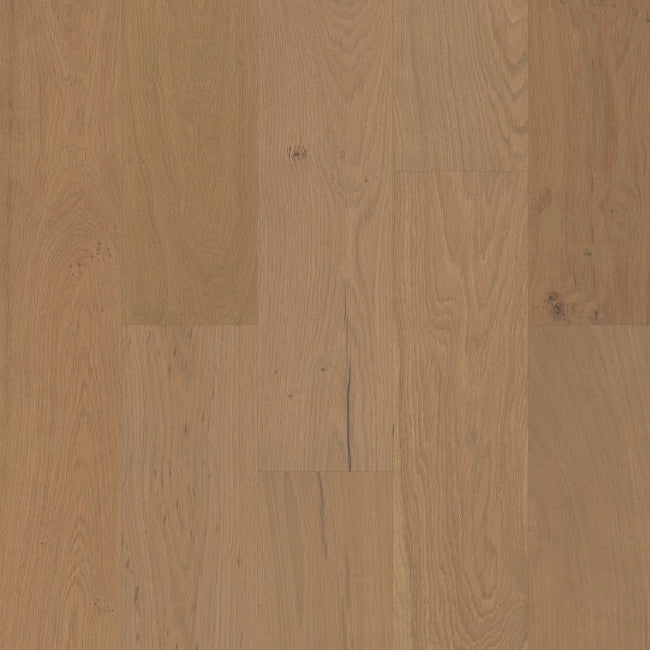 Shaw Floors The Gallery Collection Ensemble Crema