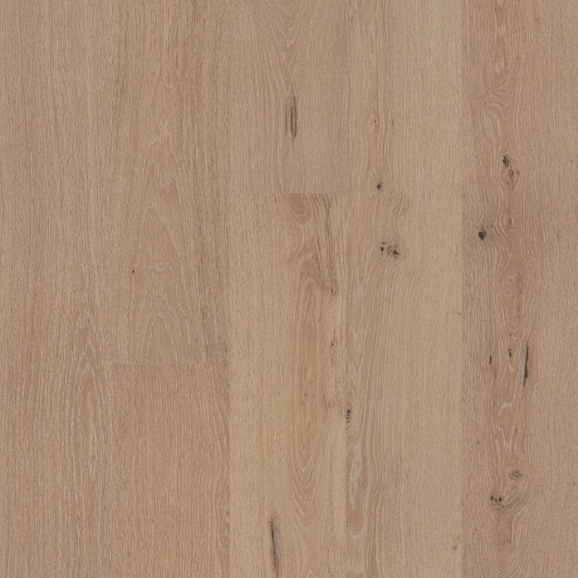 Shaw Floors The Gallery Collection Purpose