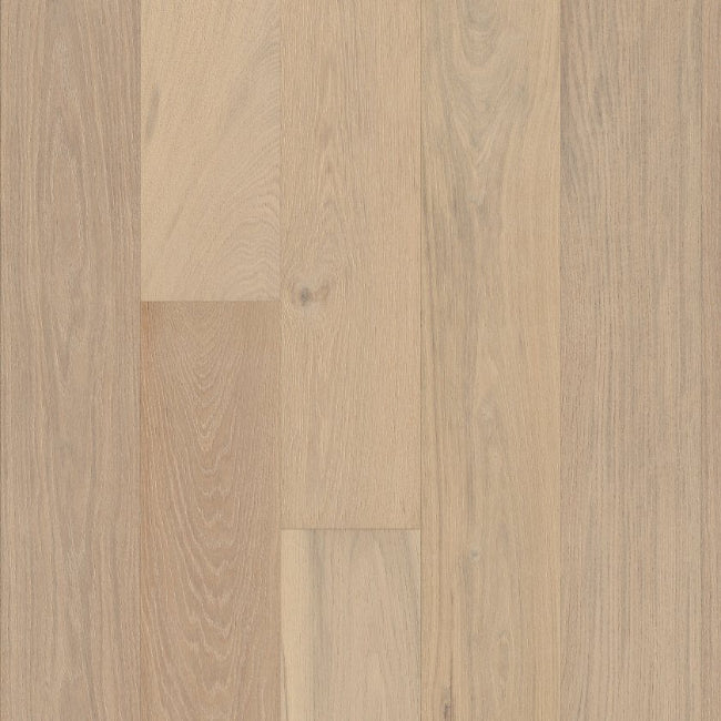 Shaw Floors The Gallery Collection Utmost