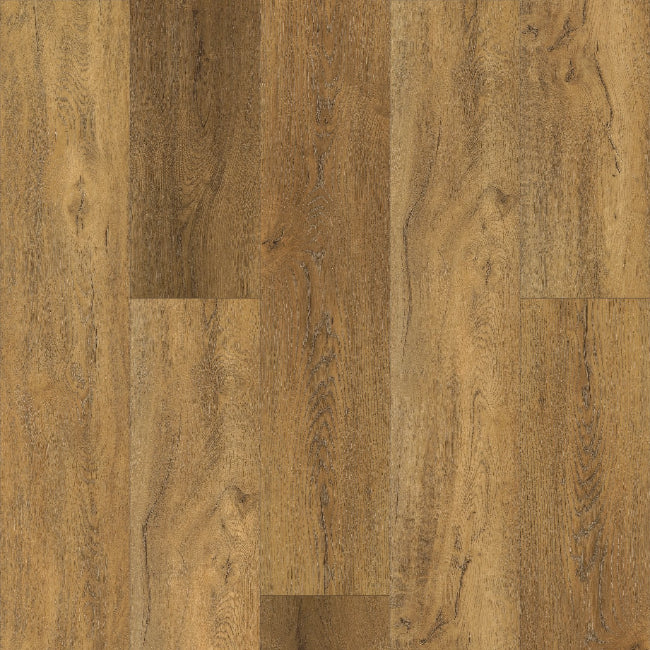 Shaw Floors Antica HD Plus Foresta