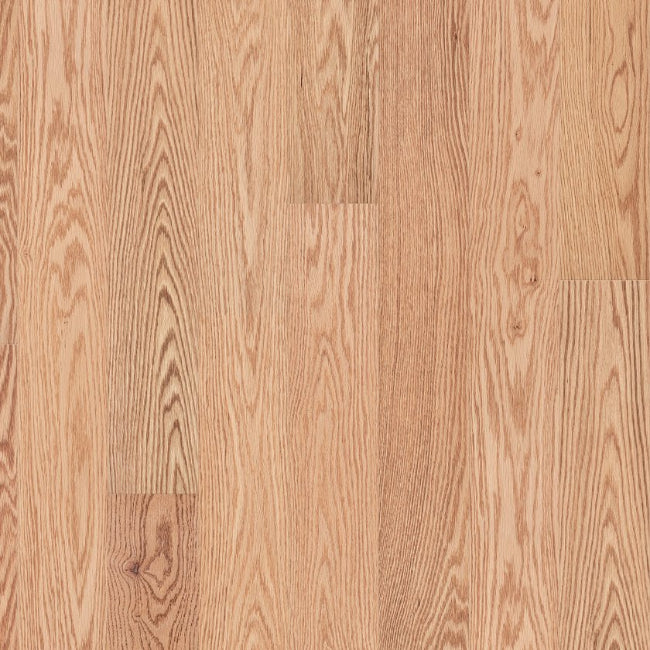 Shaw Floors The Gallery Collection Natural Classics Red Oak 5" Natural Red Oak