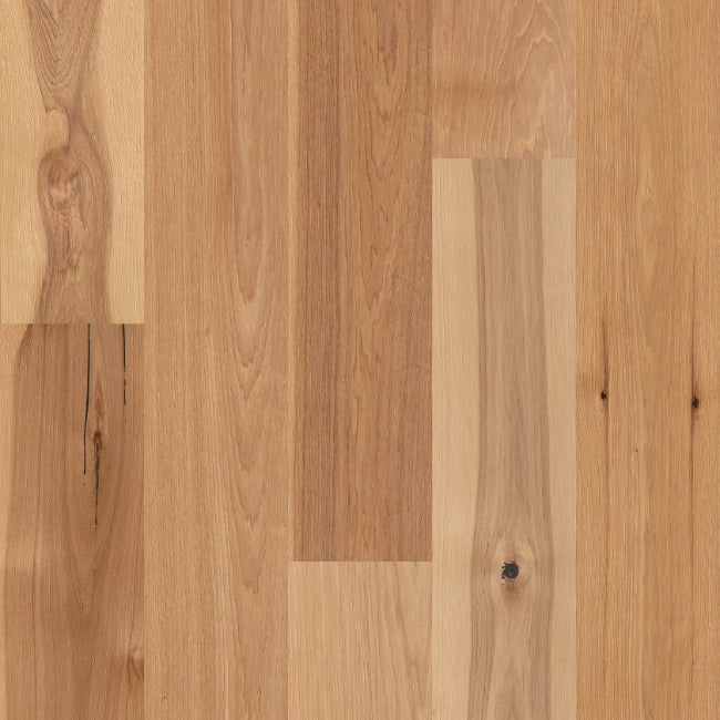Shaw Floors The Gallery Collection Castlewood Hickory Coat of Arms