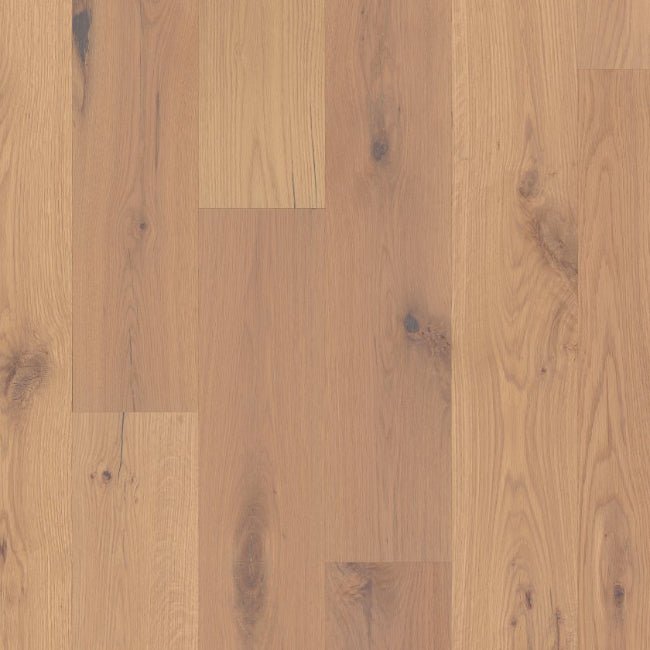 Shaw Floors Repel Collection Reflections White Oak Timber