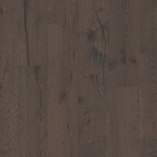 Shaw Floors Repel Collection Reflections White Oak Terrain