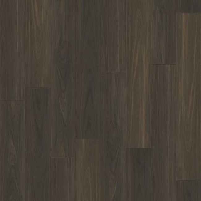 Paradigm Performer Plus Collection Parrot