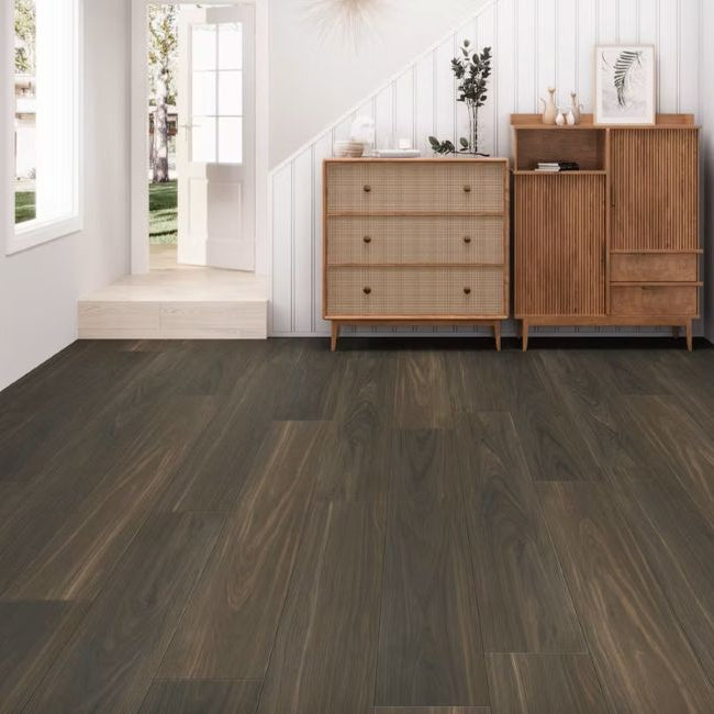 Paradigm Performer Plus Collection Parrot