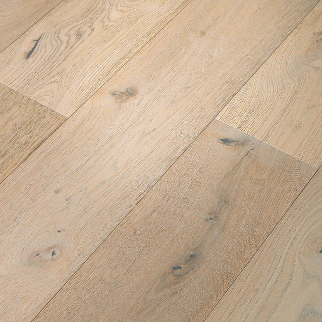 Shaw Floors The Gallery Collection Expressions Lyric