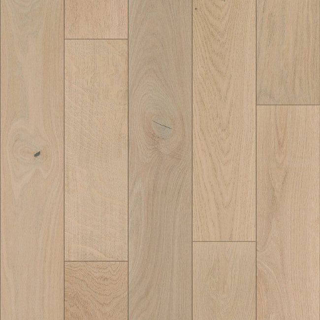 Shaw Floors The Gallery Collection Expressions Lyric