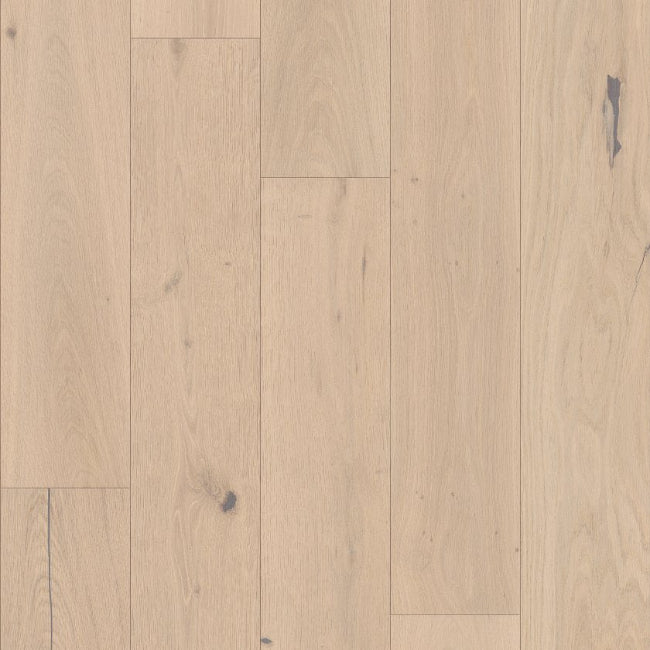 Shaw Floors The Gallery Collection Expressions Cadence
