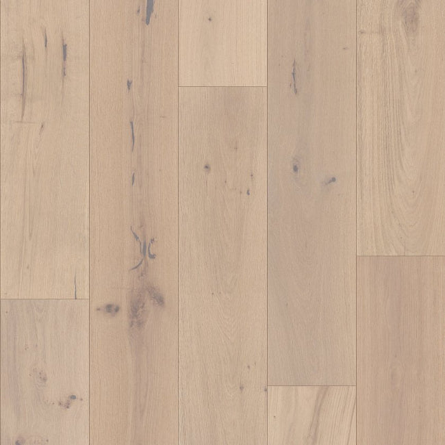 Shaw Floors The Gallery Collection Expressions Sonata