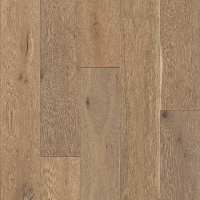 Shaw Floors The Gallery Collection Expressions Alla Prima