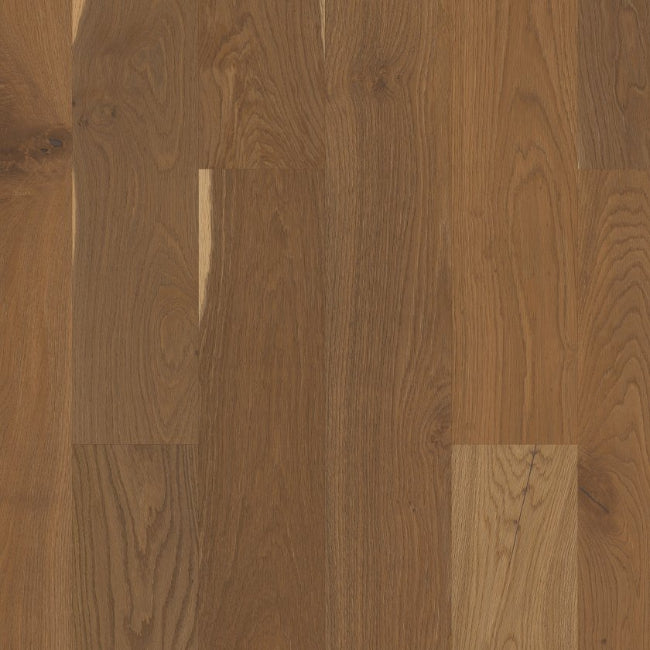 Shaw Floors The Gallery Collection Expressions Prose