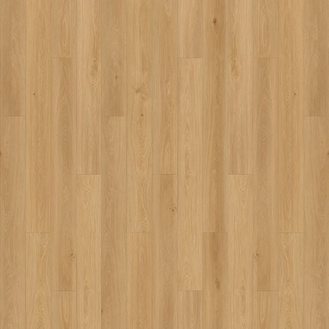Opulux Collection Aurora