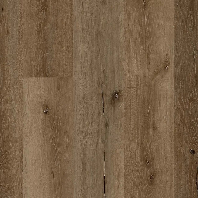 Republic The Woodland Oak Collection Bear Oak