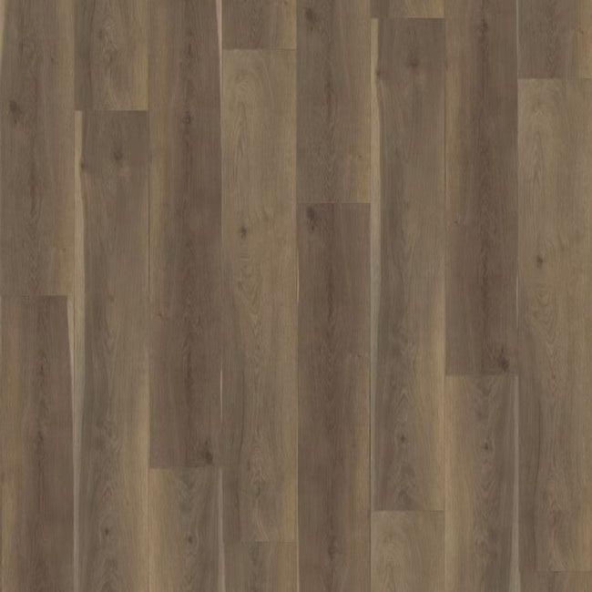 Paradigm Performer Plus Collection Cardinal