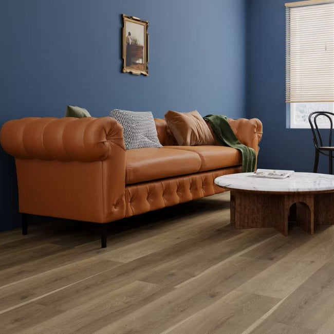 Paradigm Performer Plus Collection Cardinal