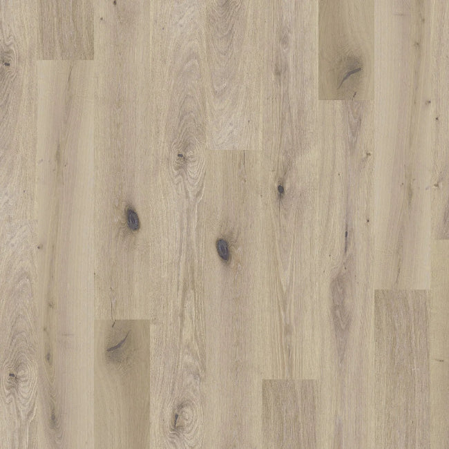 DUCHATEAU Global Winds Collection Chinook