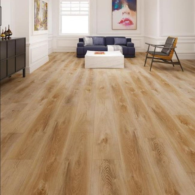 Coronado Collection Monarch