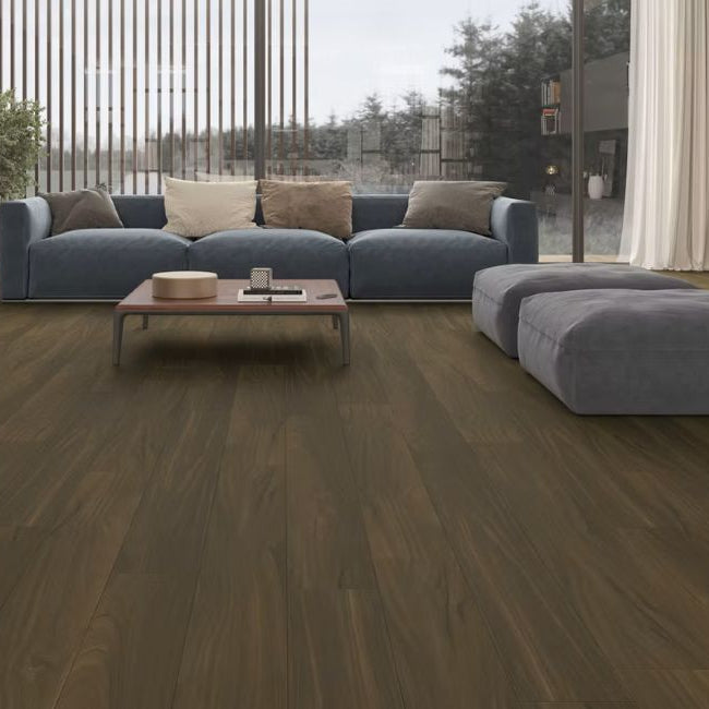 Paradigm Performer Plus Collection Dove