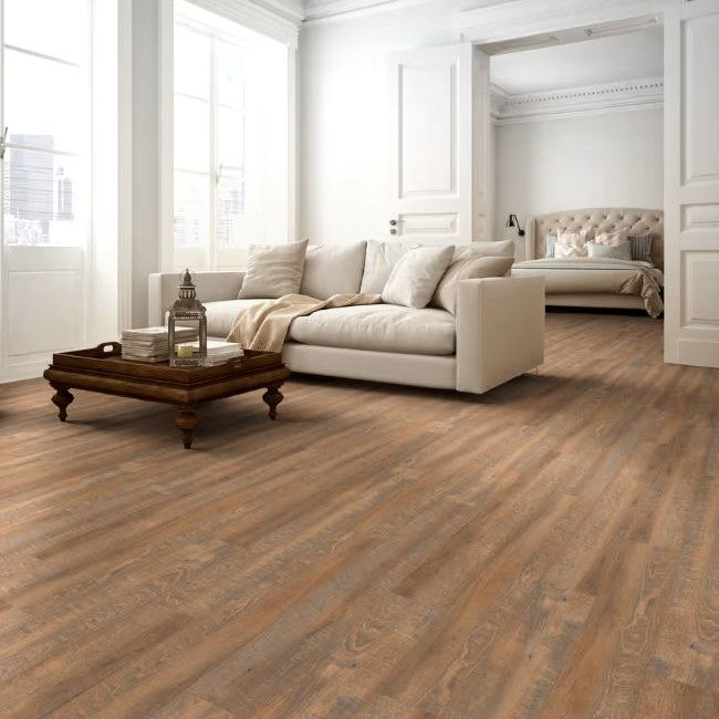 Happy Feet International Mustang Jurassic