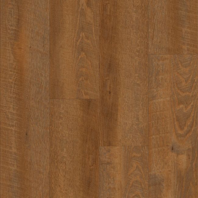 Happy Feet International Mustang Jurassic