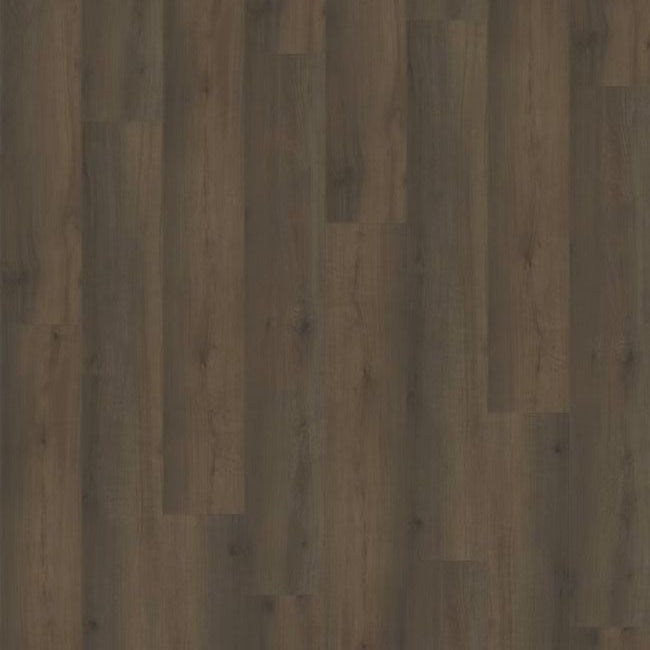 Paradigm Performer Plus Collection Kingfisher