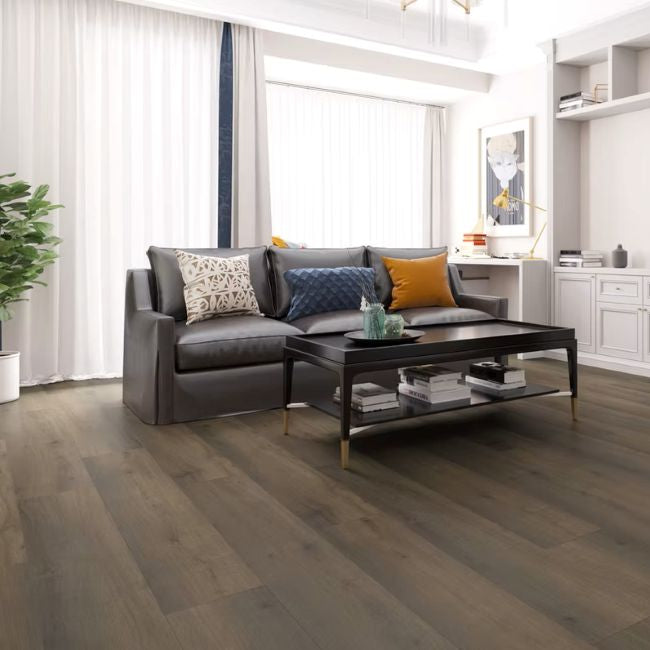 Paradigm Performer Plus Collection Kingfisher