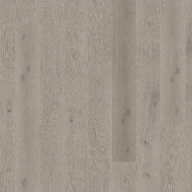 DUCHATEAU Global Winds Collection Levante