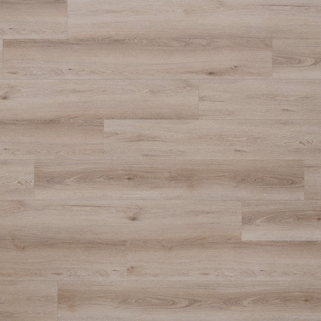 Mission Collection Cortona MAXX Morning Dew