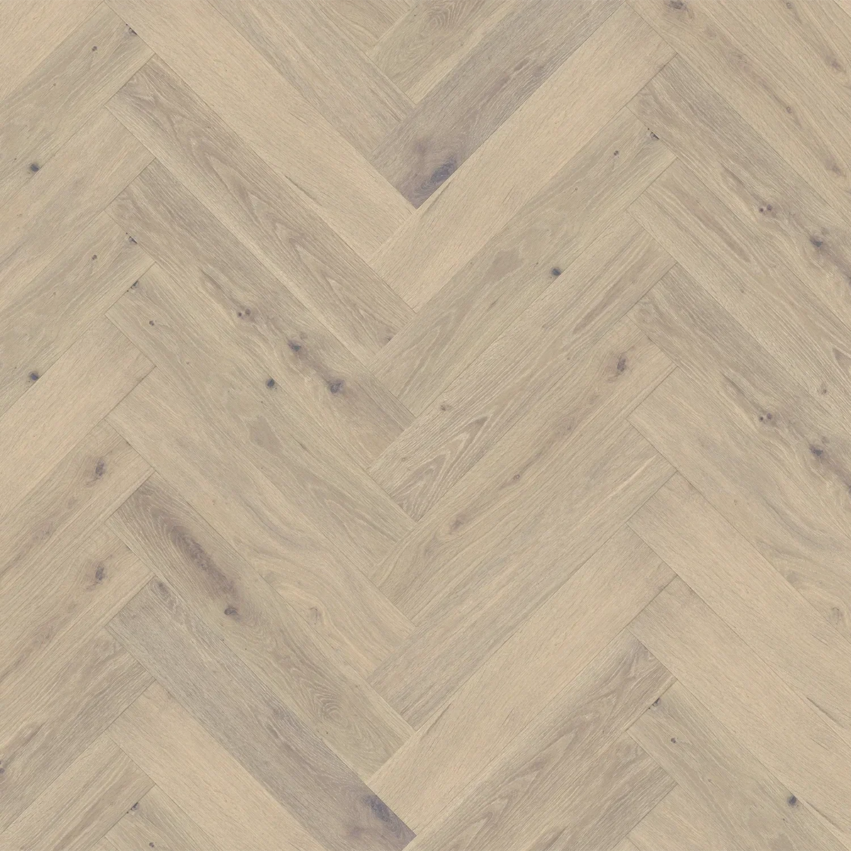 DUCHATEAU Global Winds Collection Mistral