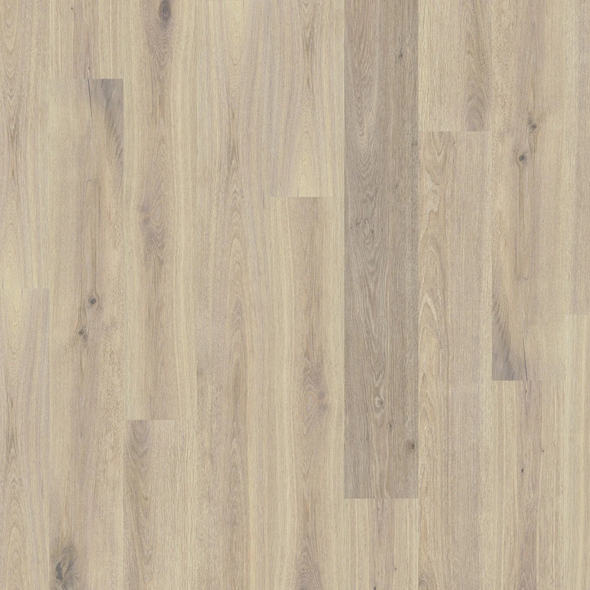 DUCHATEAU Global Winds Collection Mistral