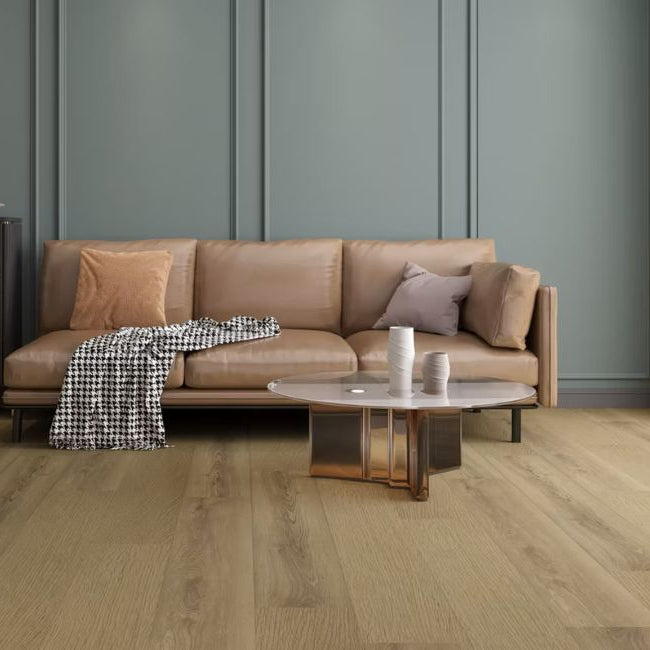 Paradigm Performer Plus Collection Mockingbird