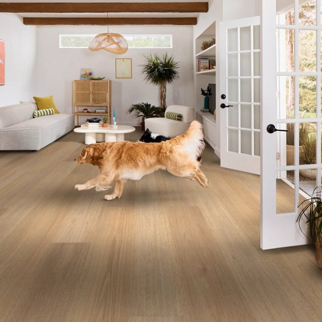 Shaw Floors  Pet Perfect Luxury Vinyl Briard  Tusk Oak