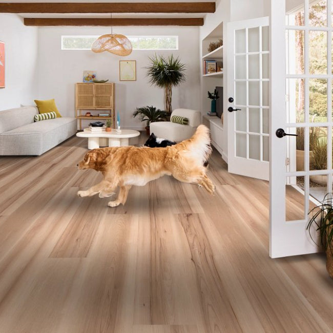Shaw Floors  Pet Perfect Luxury Vinyl Briard Ecru Maple