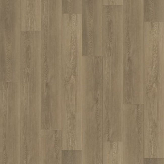 Paradigm Performer Plus Collection Partridge