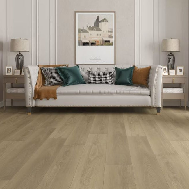 Paradigm Performer Plus Collection Partridge