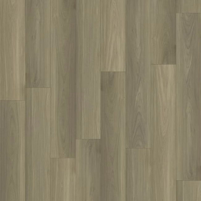 Paradigm Performer Plus Collection Penguin