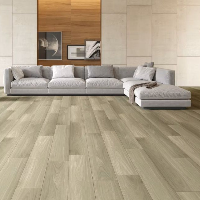 Paradigm Performer Plus Collection Penguin