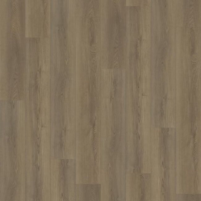 Paradigm Performer Plus Collection Pheasant