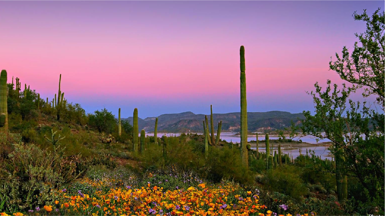 Peoria, AZ