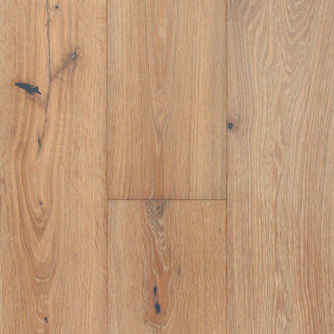 Provenza Affinity Collection Charmed