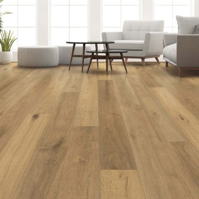 Provenza First Impressions Collection High Style