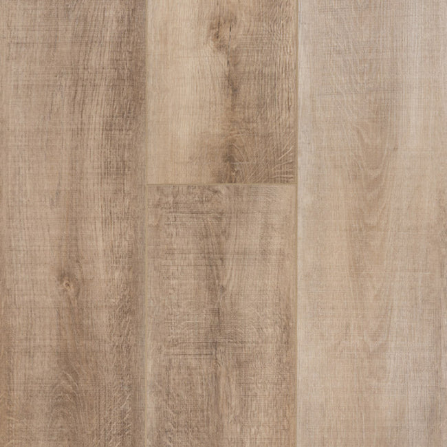 Provenza Moda Living Collection After Party