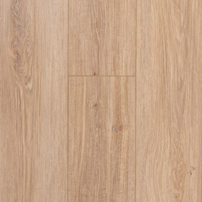 Provenza Moda Living Collection First Glance